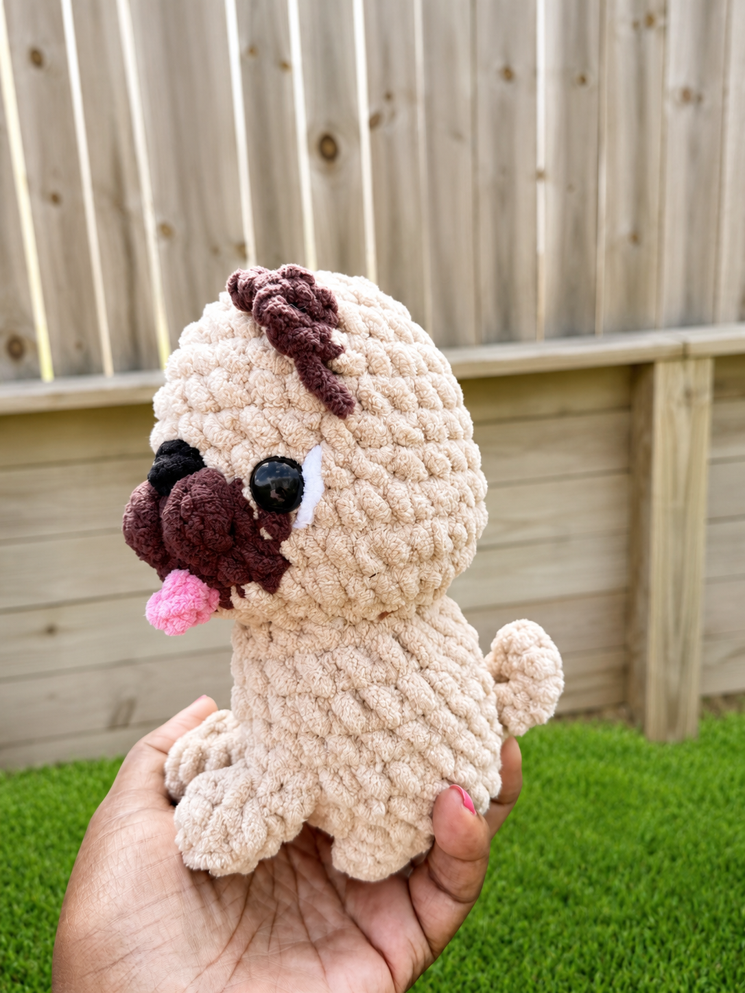 Sitting puppy