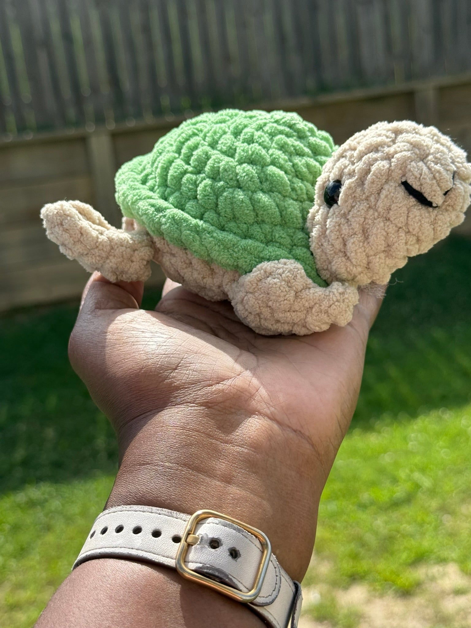 Small turtles